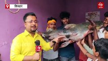 शिवहर फिस मार्केट में 5 फीट लंबी 150 KG की अनोखी मछली, देखने के लिए जुट गई भीड़
