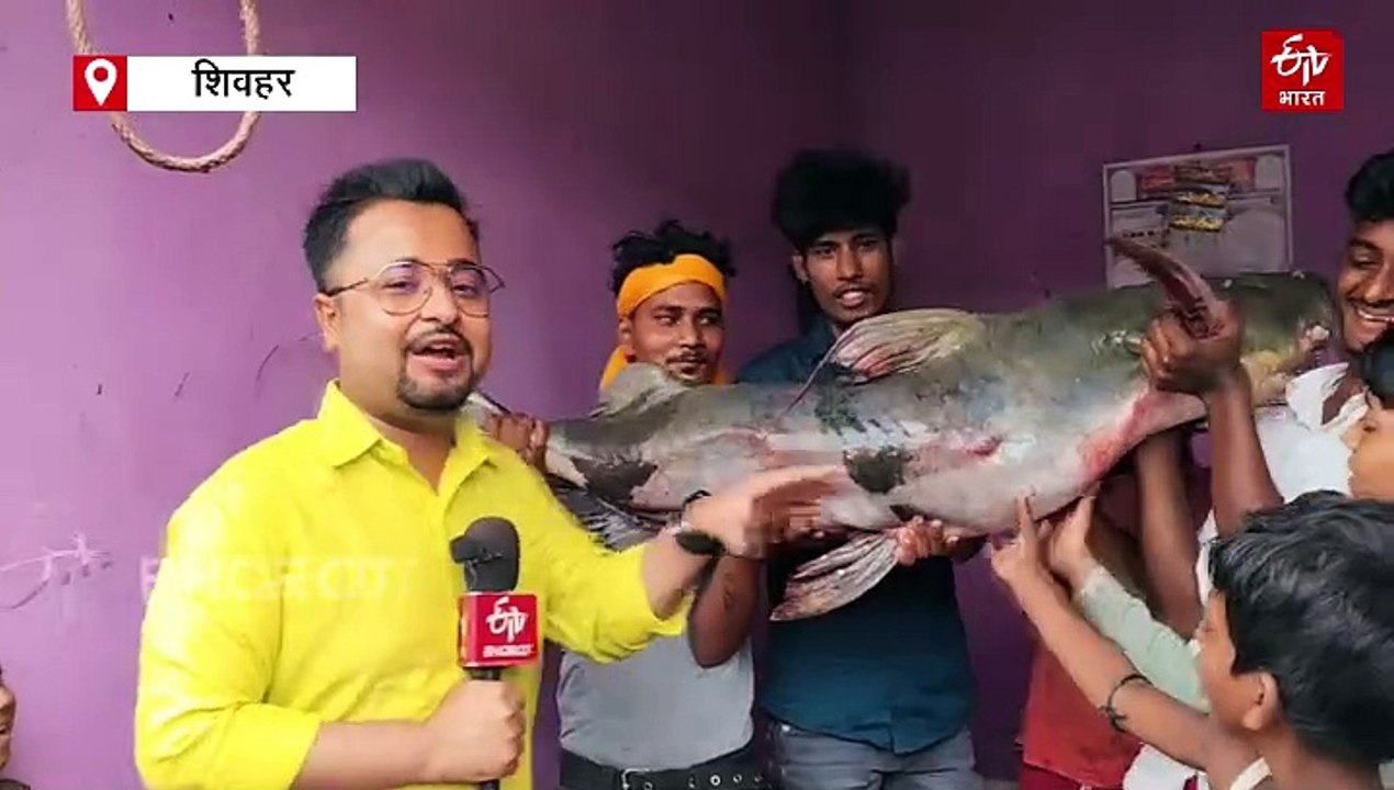 शिवहर फिस मार्केट में 5 फीट लंबी 150 KG की अनोखी मछली, देखने के लिए जुट गई भीड़