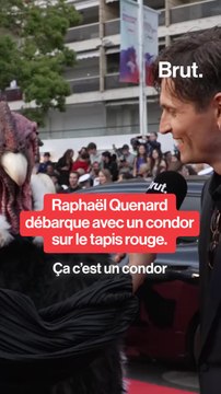 Raphaël Quenard débarque avec un condor sur le tapis rouge.