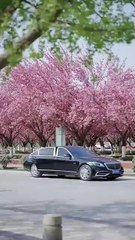 In her past life, he rose to fame then hurt her. Reborn, she crushed him without mercy - Chinese  2025