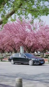 In her past life, Qiao Annian died betrayed—reborn, she ditches her doormat ways, crushes her ex, and wins a powerful, happy life. #HitDrama #CEO #Romance