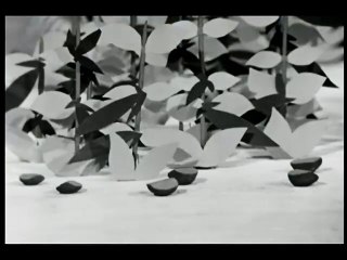 The Magic Roundabout (1965) S01E132 - Jumping Beans
