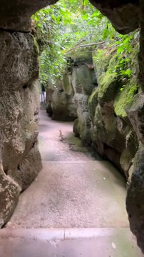 Pecoraro Scanio - VENERE e la bellezza dei giardini della Reggia Di Caserta l’Italia creativa (18.05.25)