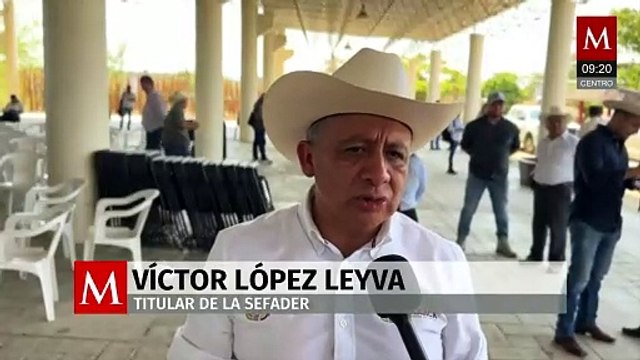 Refuerzan inspecciones en Oaxaca ante brote de gusano barrenador