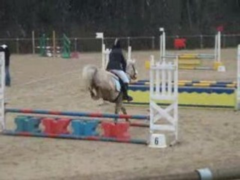 club poney elite a conches