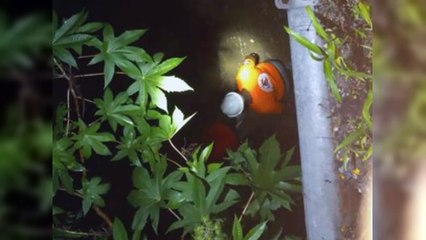 Un menor de edad muere por la crecida de cañada en San Juan