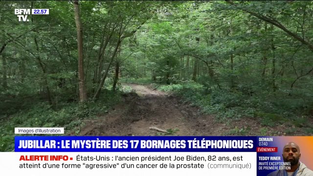 Affaire Jubillar: le téléphone de Cédric Jubillar a borné 17 fois dans une zone boisée non fouillée dans le mois précédent la disparition de sa femme