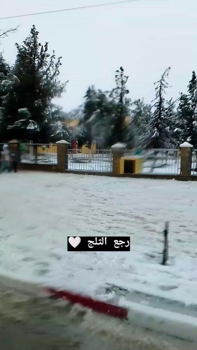 snow ❄️🌨️