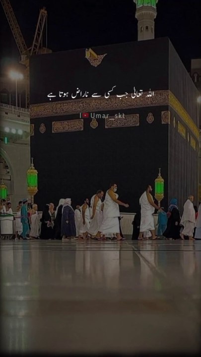 Beautiful Hamdshareef 🥰🥰
