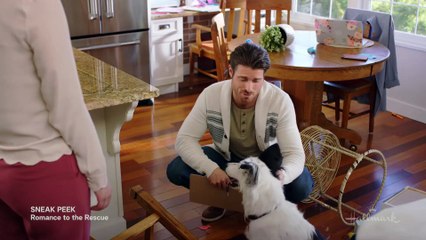 Gli ostacoli del cuore | movie | 2022 | Official Trailer