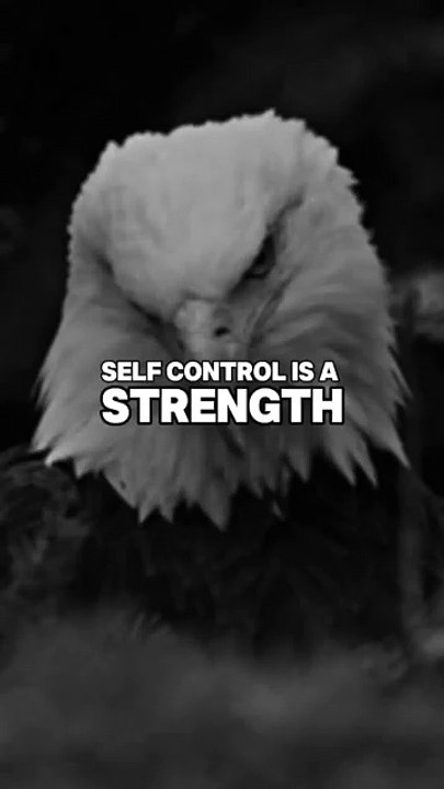 Self control is a strength calmness is a mastery 👑 Embrace strength and mastery with our 'Self-Control is a Strength, Calmness is a Mastery' pin! 🌟 Explore motivational quotes that highlight the power of self-control and the art of maintaining calmness.