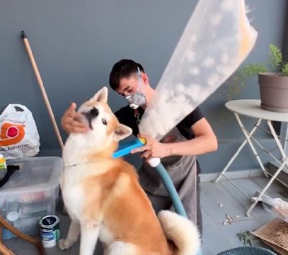 Paw-sitively Adorable! DIY Crafts Your Pets Will Love!