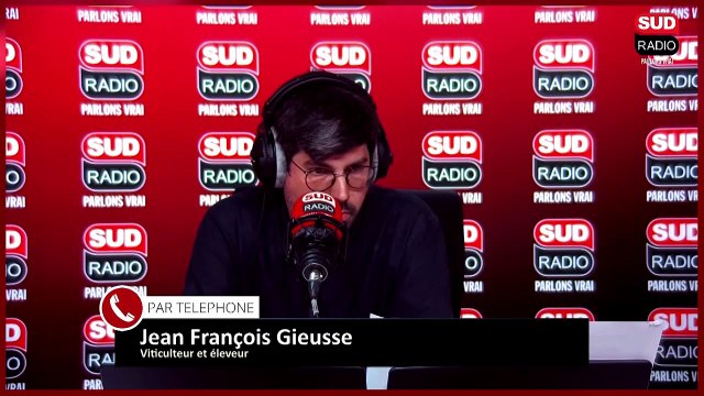 Témoignage : opération solidarité après un orage de grêle dévastateur dans ces vignes