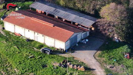 Assalto al portavalori sull'Aurelia: la chiamata al 118 e i video della clamorosa rapina