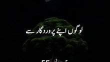 Urdu translation Quranhttps://youtube.com/shorts/l2NQObAv4RA?si=9YmLPZ71YZ0oRjNR