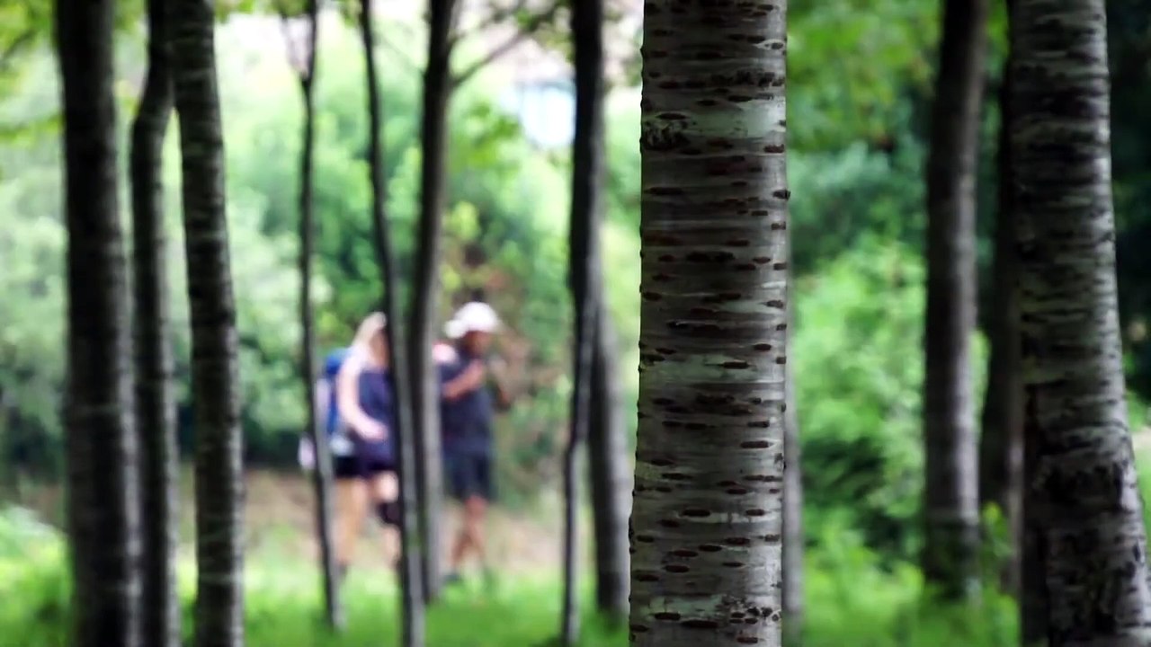 Camino de Santiago - Eine Reise auf dem Jakobsweg | movie | 2015 | Official Trailer