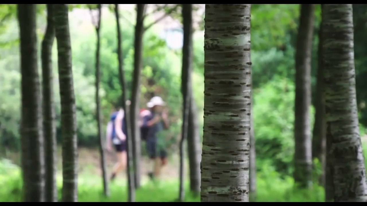 Camino de Santiago - Eine Reise auf dem Jakobsweg | movie | 2015 | Official Trailer