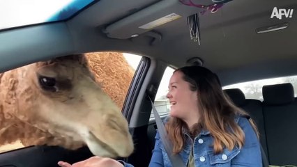 They Broke EVERYTHING! 😭 Most Expensive Fails_1080p