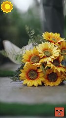 Rᴇᴘᴏʀᴛᴇʀ Exᴘᴏsᴇs Cʜᴇᴀᴛᴇʀs ᴡɪᴛʜ Osᴄᴀʀ | Full Movie Eng Sub