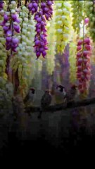 e784fd98116749df04ca8e82ec880145