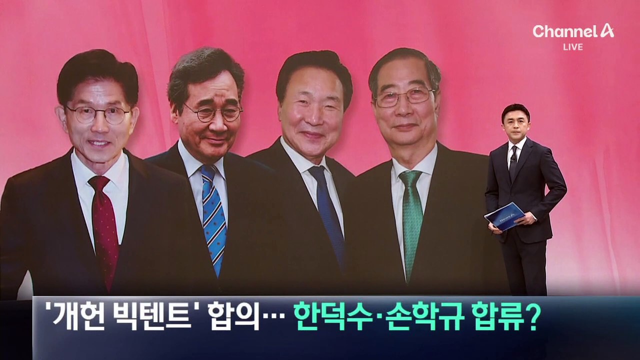 국민의힘·새미래민주당, ‘개헌 빅텐트’ 합의…한덕수·손학규 합류?