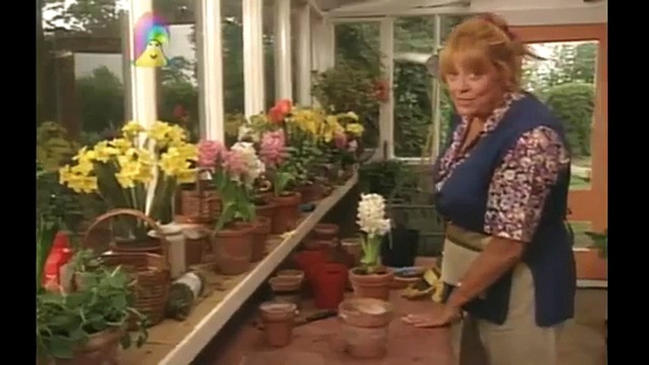 Come Outside   BULBS