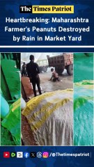 Heartbreaking: Maharashtra Farmer’s Peanuts Destroyed by Rain in Market Yard