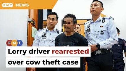 Lorry driver in FRU crash rearrested over cow theft case