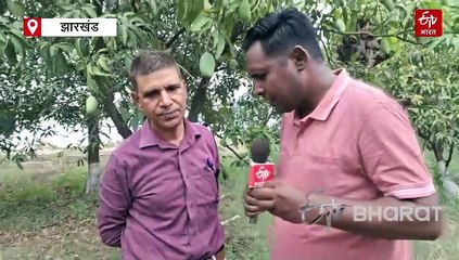 'आम' का स्वाद अप्रैल से अगस्त तक क्यों बदलता, वैज्ञानिक रमेश कुमार से जानिए इसके पीछे का राज