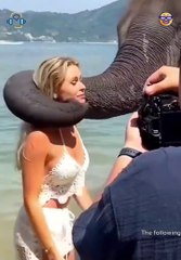 The Art of Failing Gracefully... Kinda 🎨😂 – “It’s a masterpiece of mess!”