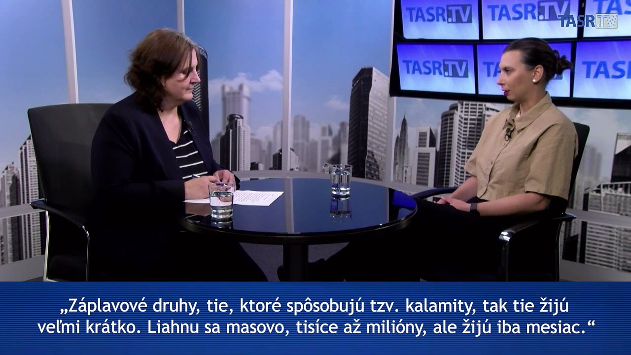 ČABANOVÁ: Liahniská infikovaných komárov sú aj doma vo vrchnáčiku vody
