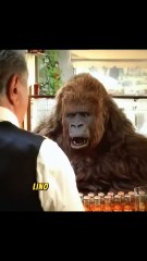 Vi ricordate lo spot del GORILLA CRODINO più LEGENDARIO d’Italia"
