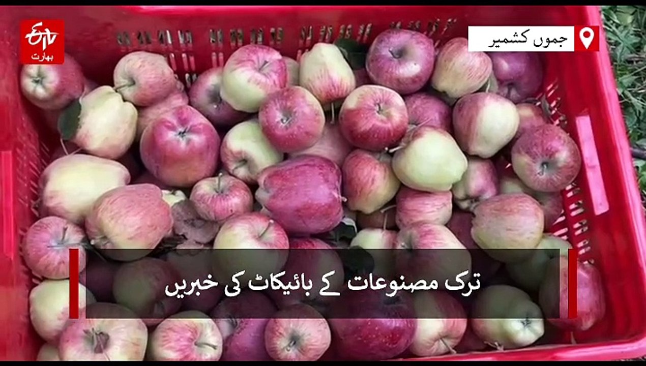 ’بائیکاٹ ترکی کا نعرہ کشمیر کے سیب کسانوں کے لی...