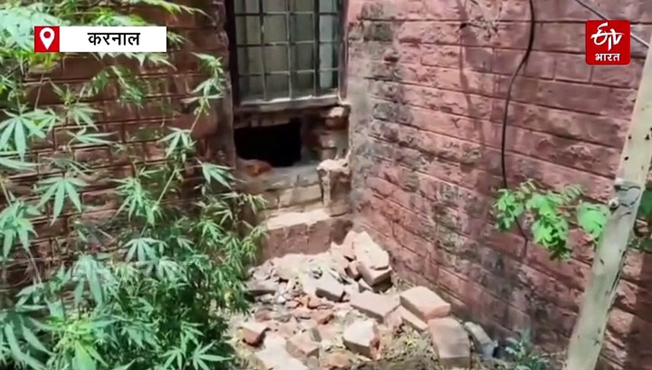करनाल पीएनबी बैंक में सेंधमारी, पिछली दीवार पर चोरों ने किया बड़ा होल, जांच में जुटी पुलिस