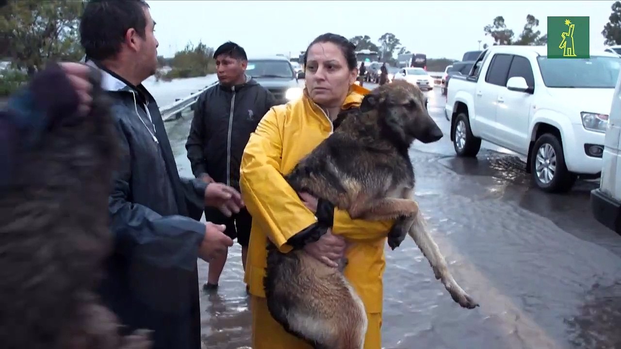 Un muerto, tres desaparecidos y casi 2.000 evacuados por inundaciones en Argentina