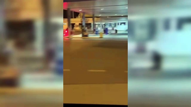 I tifosi del Napoli assaltano il bus dell'Inter club di Prato: le immagini