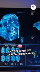 Les hommes ne savent pas faire deux trucs en même temps ?