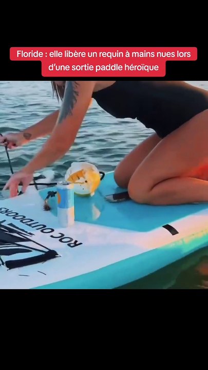 Floride : elle libère un requin à mains nues lors d’une sortie paddle héroïque