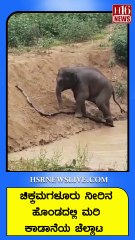 ಚಿಕ್ಕಮಗಳೂರು ನೀರಿನ ಹೊಂಡದಲ್ಲಿ ಮರಿ ಕಾಡಾನೆಯ ಚೆಲ್ಲಾಟ | Baby elephant playing in Chikmagalur waterhole