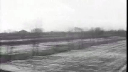 Ménage all’italiana (1966) U.Tognazzi