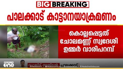 പാലക്കാട്ടെ ടാപ്പിങ് തൊഴിലാളിയുടെ മരണം കാട്ടാന ആക്രമണത്തിലെന്ന് സ്ഥിരീകരണം