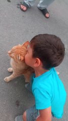 Playtime For Cats🐱😻🐈Kedi İçin Oyun Zamanı 😻🐈🐈💃 Miyav Offical Video