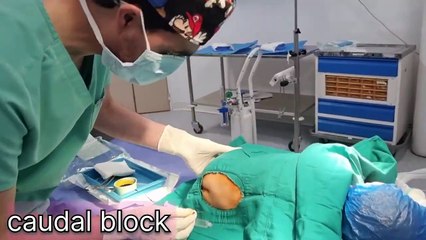 Caudal block anesthesia, leteral position