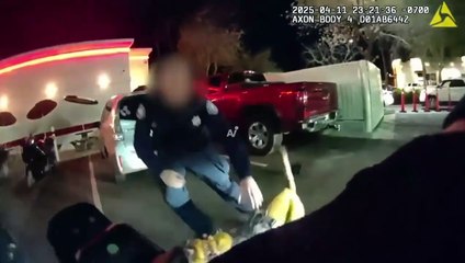 VIDEO: Un can policía capturó a un hombre armado que ‘acosaba’ a menores