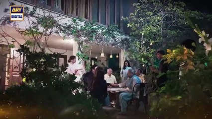 Parwarish Episode 13_19_May 2025 Aina_Asif___Samar_Jafri___ARY_Digital_Drama(360p)
