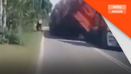 Wanita nyaris maut dihempap lori muatan kayu