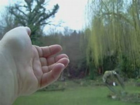 Gai comme des Pinsons.