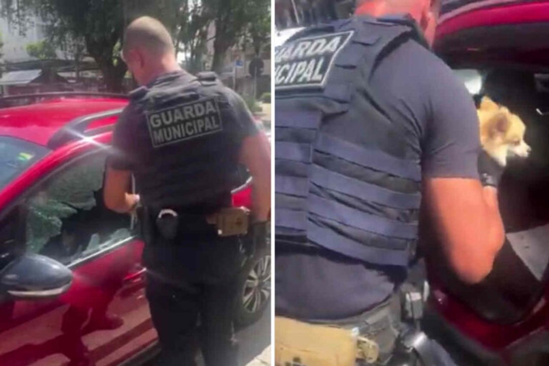 Elon Musk utilise une vidéo de sauvetage de chien enfermé dans une voiture chaude pour promouvoir une fonctionnalité de Tesla