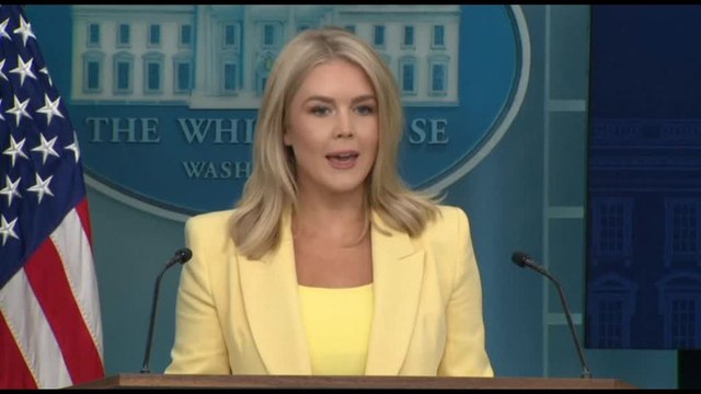 Usa-Russia, telefonata tra Trump e Putin sull'Ucraina