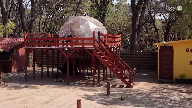 Profepa clausura dos desarrollos turísticos clandestinos en La Primavera